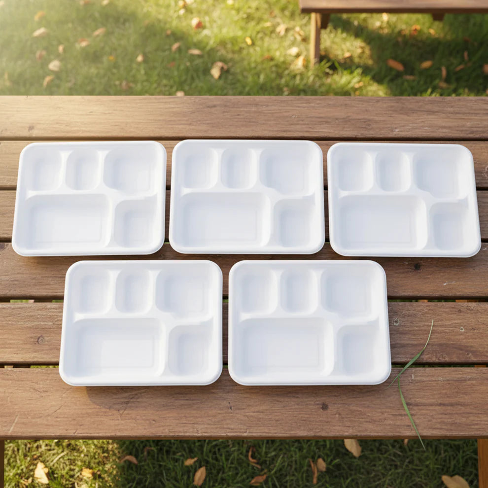 Fresheeclamshell Takeaway Compostable Bagasse Food Box 9x6x3 Inch  10 Pcs Pack