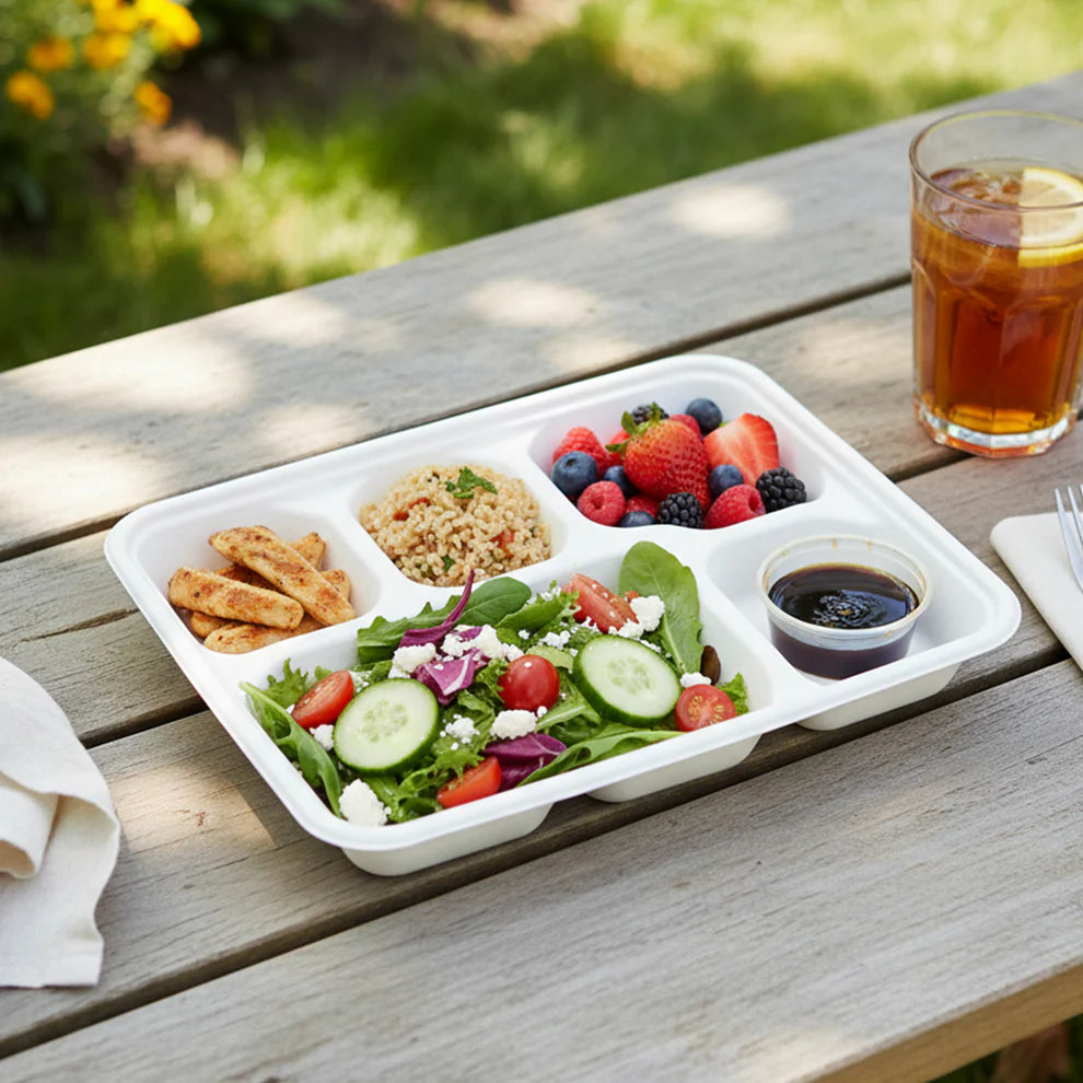 Fresheeclamshell Takeaway Compostable Bagasse Food Box 9x6x3 Inch  10 Pcs Pack