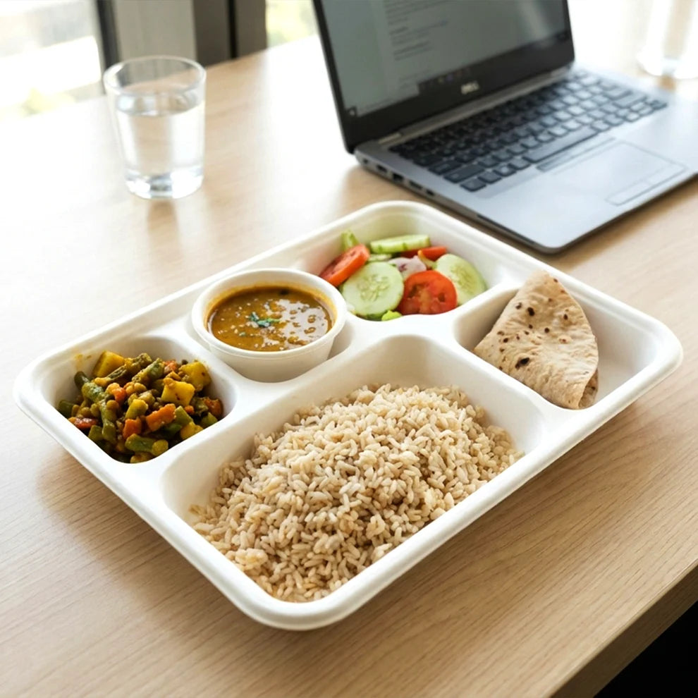 Fresheeclamshell Takeaway Compostable Bagasse Food Box 9x6x3 Inch  10 Pcs Pack