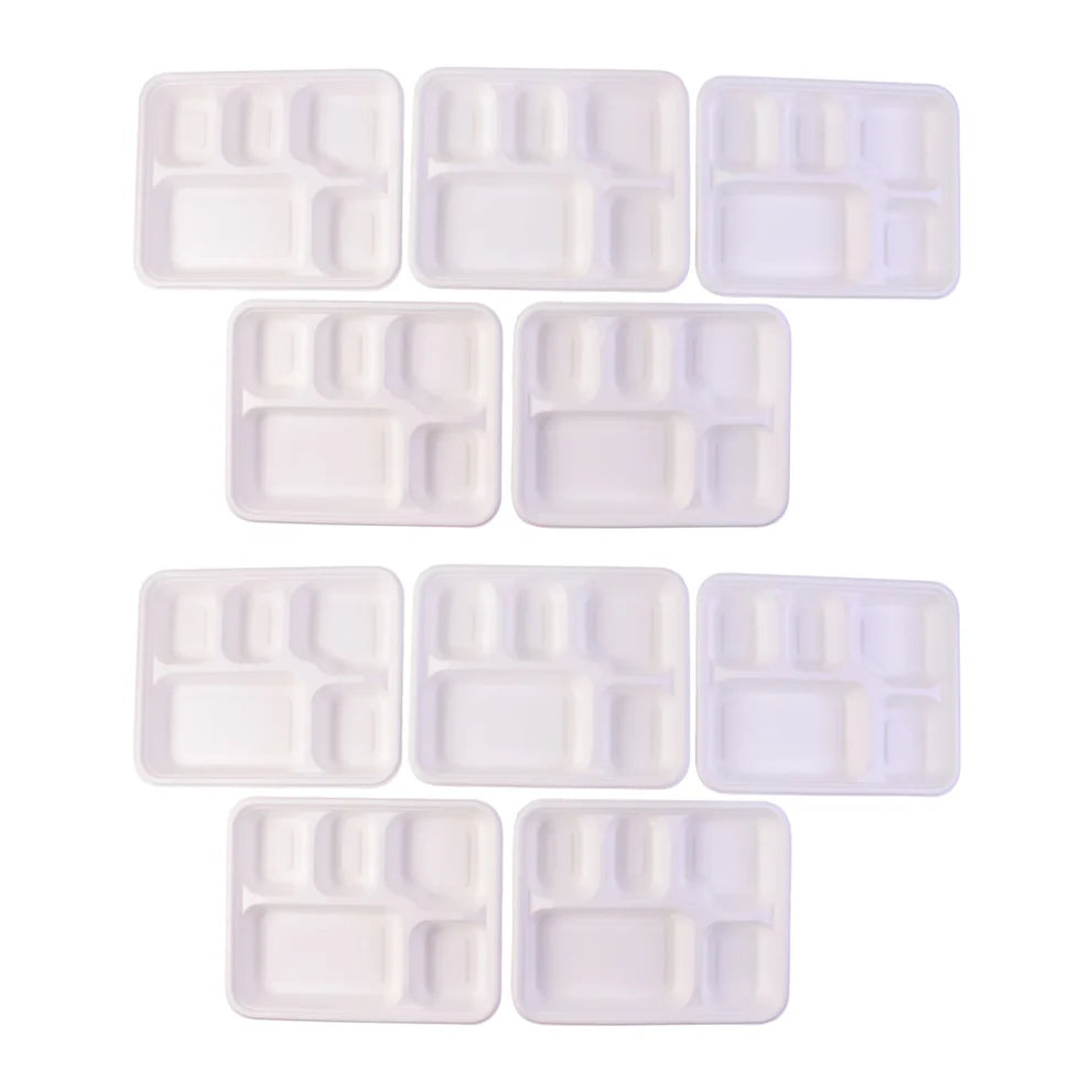 Fresheeclamshell Takeaway Compostable Bagasse Food Box 9x6x3 Inch  10 Pcs Pack