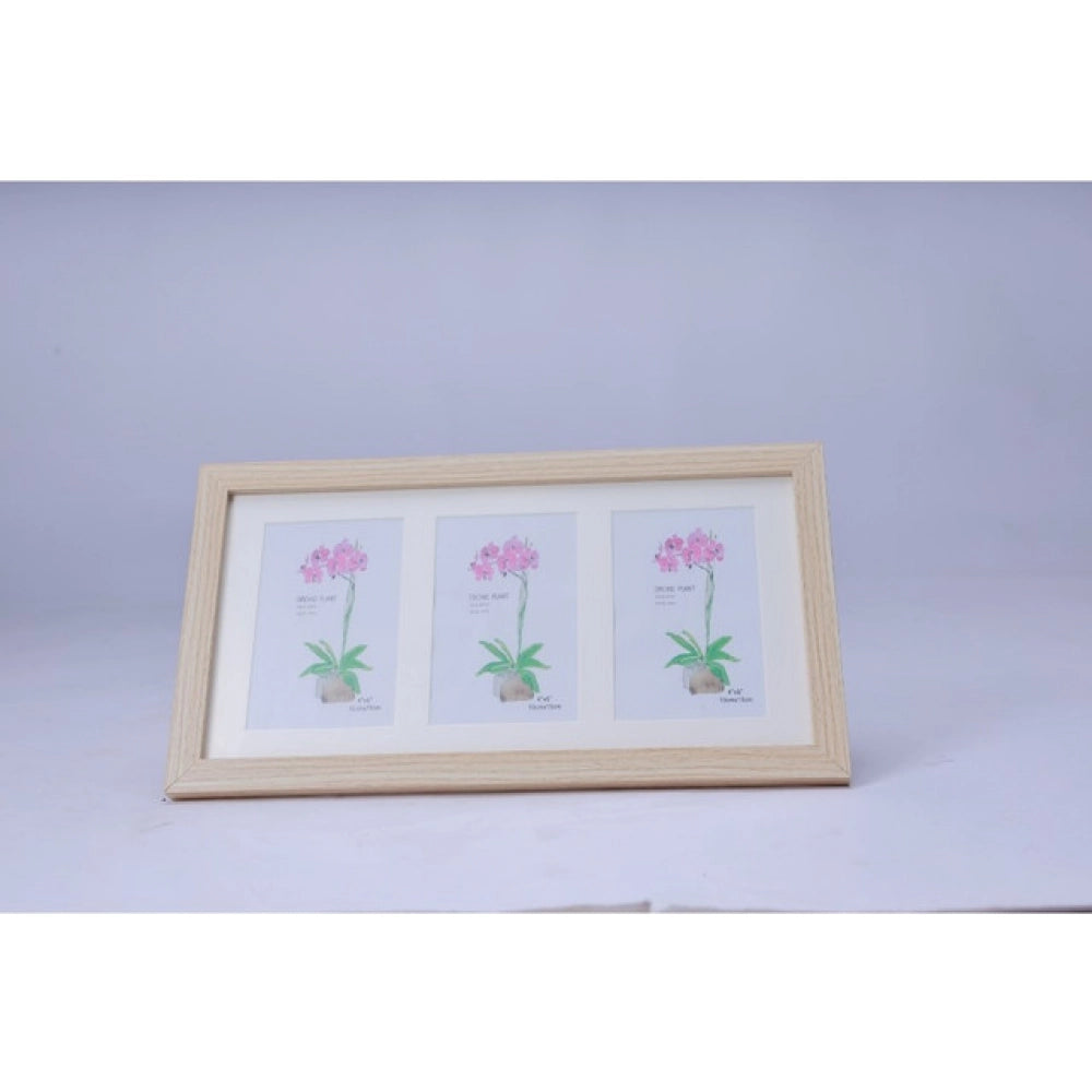 Acrylic Cactus Image Frame (Multicolor)