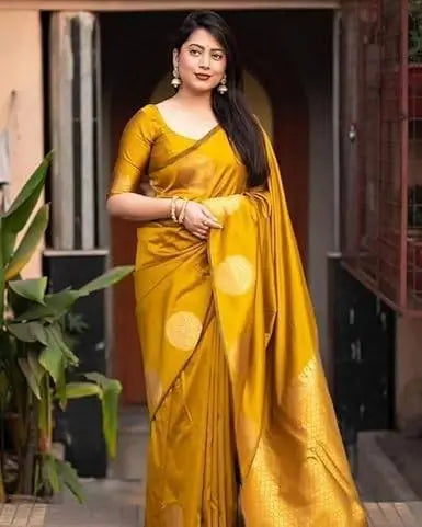 Banarasi Silk Saree  The Graceful Radiance Collection