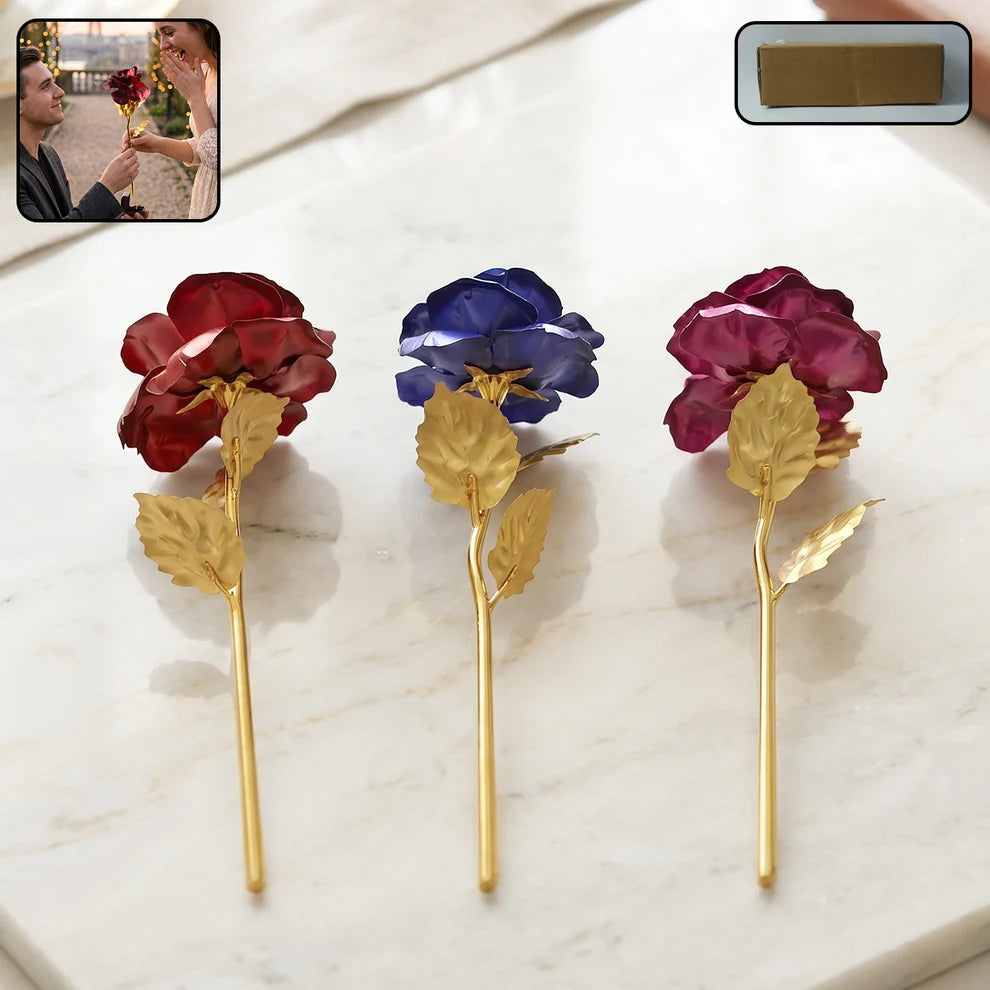 Golden Rose Used In All Kinds Of Places Like Household Offices Cafes Etc. For Decorating And To Look Good Purposes And All.