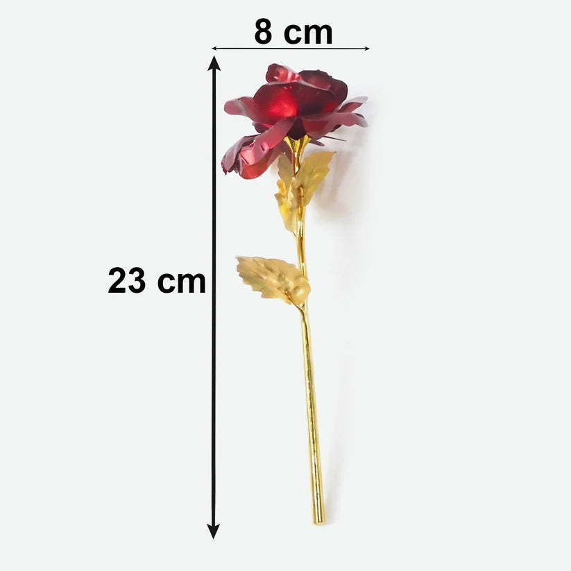 Golden Rose Used In All Kinds Of Places Like Household Offices Cafes Etc. For Decorating And To Look Good Purposes And All.