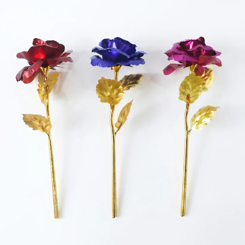 Golden Rose Used In All Kinds Of Places Like Household Offices Cafes Etc. For Decorating And To Look Good Purposes And All.