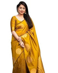 Banarasi Silk Saree  The Graceful Radiance Collection