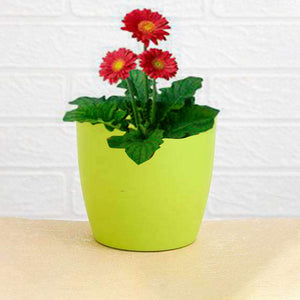 Flower Pots Round Shape For Indooroutdoor Gardening (3 Pc)