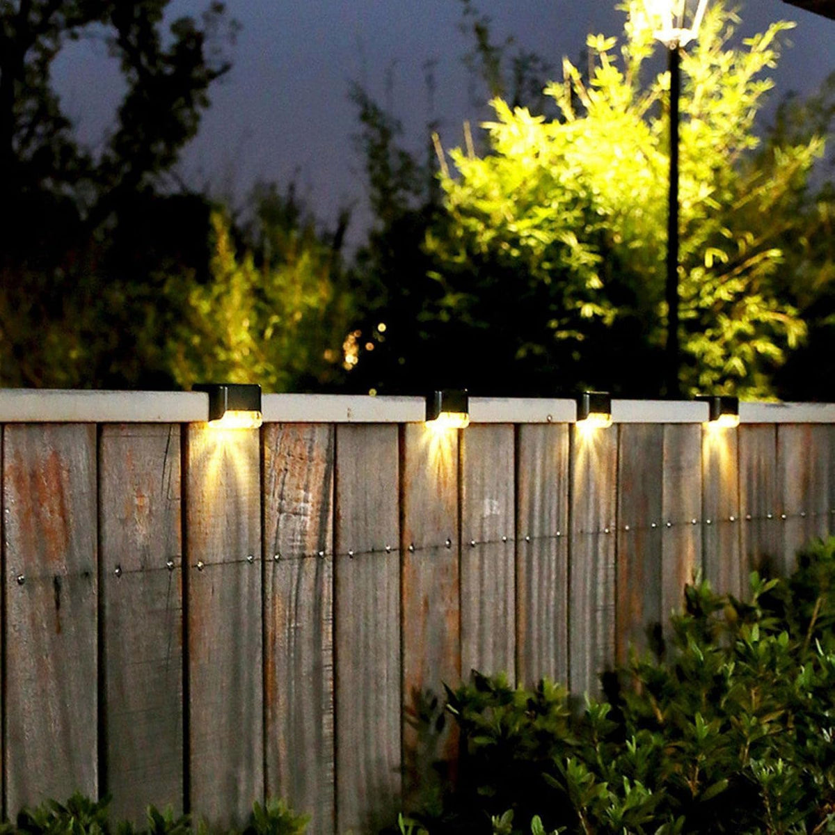 Five black solar lights cast warm glow on a wooden fence with green foliage below at night.