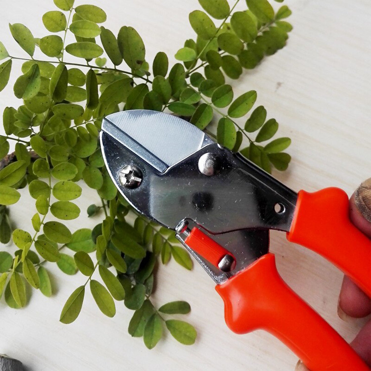 1572 Professional Garden Scissor With Sharp Blade Comfortable Handle (18cm)