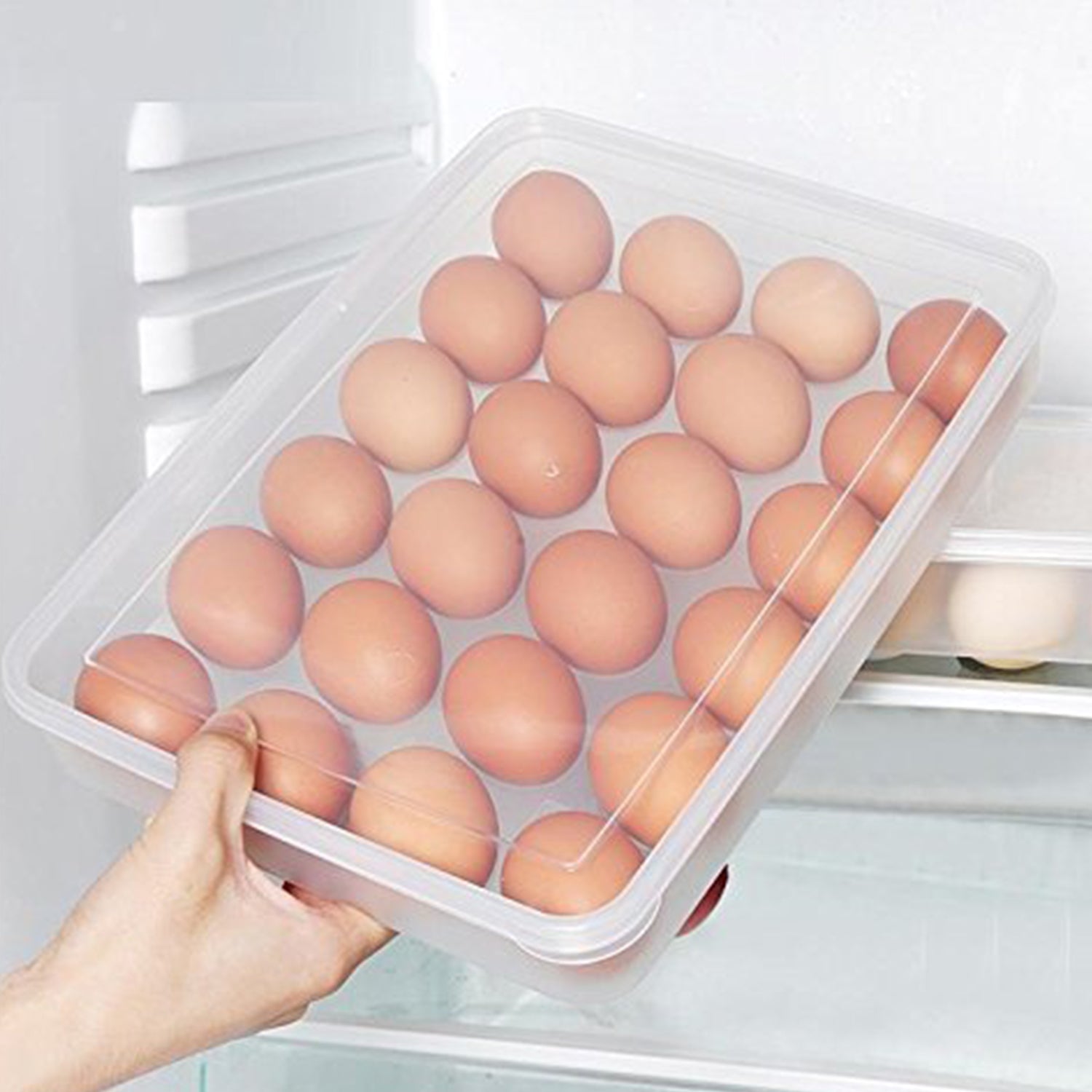 Plastic Egg Storage Container Holder For Refrigerator Egg Tray Holds 24 Eggs (1 Pc)