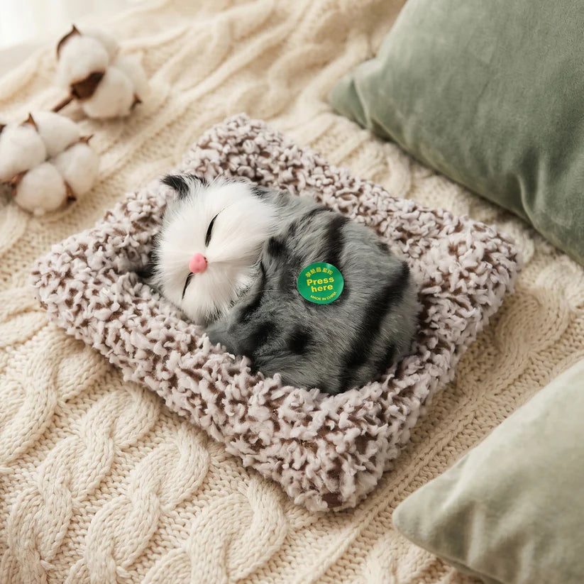 Soft Plush Cute Open-eye Cat Car Dashboard Showpiece Toy (1 Pc)