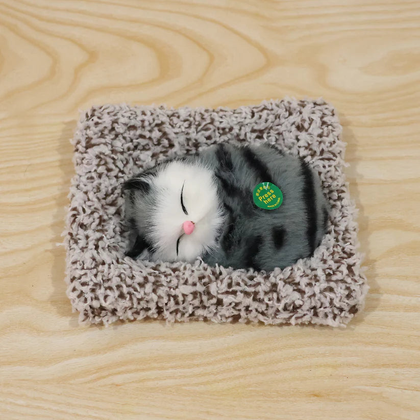 Soft Plush Cute Open-eye Cat Car Dashboard Showpiece Toy (1 Pc)