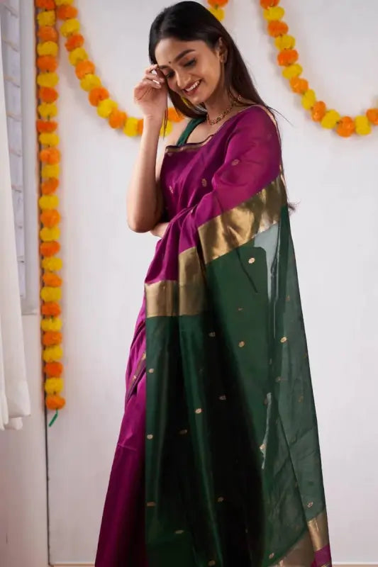 Cotton Saree  The Elegant Contrast Collection