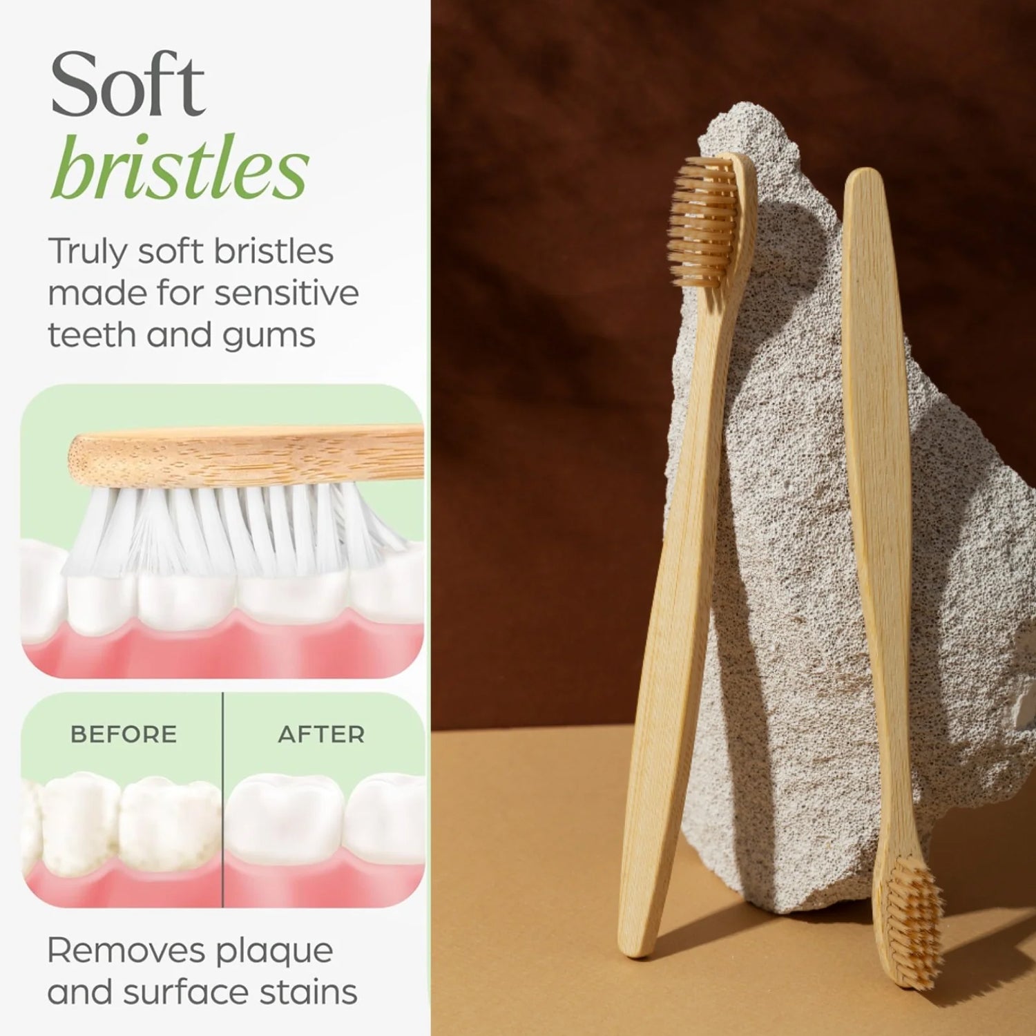 Premium Wall Mounted Toothbrush Holder Set (1 Set)