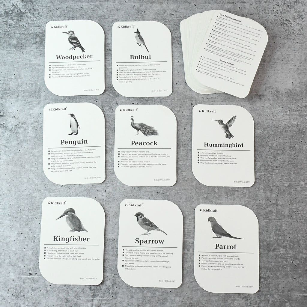 Kidkraft Early Learner Educational Flashcards  32 Birds