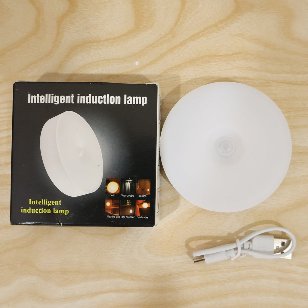 Motion Sensor Led Light Rechargeable Wireless Night Light With Pir Sensor (1 Set)